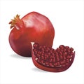 Realistic Detailed 3d Fresh Pomegranate Set. Vector