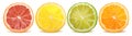 Realistic Detailed 3d Fresh Ripe Sliced Fruits Orange Lime and Lemon Set. Vector Royalty Free Stock Photo