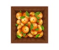 Realistic Detailed 3d Fresh Tangerines with Green Leaves in a Wooden Box. Vector