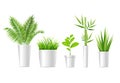 Realistic Detailed 3d Green Houseplant Set. Vector