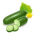 Realistic Detailed 3d Green Whole Cucumber and Slices. Vector