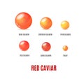 Realistic Detailed 3d Red Caviar Banner Concept Ad Poster Card. Vector