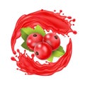 Realistic Detailed 3d Red Currant Berries with Splash Juice. Vector