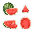 Realistic Detailed 3d Sliced Ripe Red Watermelon Set. Vector