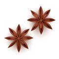 Realistic Detailed 3d Star Aniseed Set. Vector