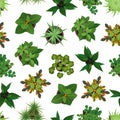 Realistic Detailed 3d Top View Green Plants Seamless Pattern Background. Vector