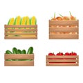 Realistic Detailed 3d Vegetables Wooden Box Set. Vector