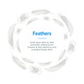 Realistic Detailed 3d White Bird Feathers Banner Card Circle. Vector