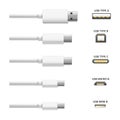 Realistic Detailed 3d White USB Types Set. Vector