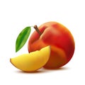 Realistic Detailed 3d Whole Peach Fruit and Slice. Vector