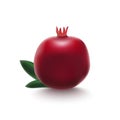 Realistic Detailed 3d Whole Pomegranate with Half Vector