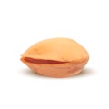 Realistic Detailed 3d Whole Roasted Pistachio Nutshell and Kernel. Vector