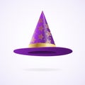 Realistic Detailed 3d Witch and Wizards Hat. Vector