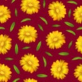 Realistic Detailed 3d Yellow Calendula Marigold Flower Seamless Pattern Background. Vector