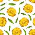 Realistic Detailed 3d Yellow Calendula Marigold Flower Seamless Pattern Background. Vector