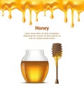 Realistic Detailed Dipper and Glass Jar Honey Card Poster. Vector Royalty Free Stock Photo