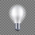 Realistic Detailed Light Bulb on a Transparent Background. Vector