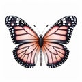 Realistic Monarch Butterfly Illustration With Transparent Wings