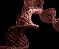 realistic DNA strands in the black background