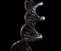 realistic DNA strands in the black background