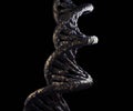 realistic DNA strands in the black background Royalty Free Stock Photo