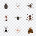 Realistic Dor, Midge, Butterfly And Other Vector Elements. Set Of Insect Realistic Symbols Also Includes Butterfly