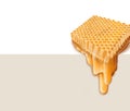 Realistic drawing of honeycombs with falling drops of honey.