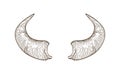 Realistic drawing of horns of cow, bull, bison, buffalo or other bovine animal hand drawn with contour lines on white