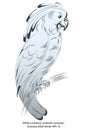 Realistic drawing of a white-crested cockatoo, sketch