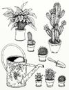 Realistic drawings of plants and gardens Garden flowers, plants, gardening tools With flowering cactus plants,