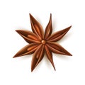 Realistic dried anise star vector with pits