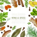 Realistic dry spices roots set poster