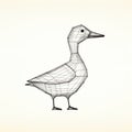 Vintage Graphic Design: Wire Frame Duck 3d Model Photo