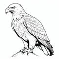 Realistic Eagle Coloring Page For Children