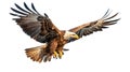 Realistic eagle flying with majesty and befitting a king of birds on a white background,8K