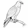 Realistic Eagle Perched On Branch Coloring Page