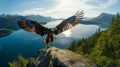 Realistic Eagle Photography Majestic Wings Soaring Over Mountain Lake