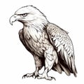 Realistic Eagle Tattoo In Pencil Art Style