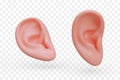 Realistic ear in different positions. Human hearing organ. Listening