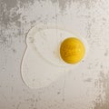 Realistic Easter Chicken raw Egg with Text