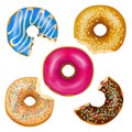 Realistic Eaten Donuts Set Royalty Free Stock Photo