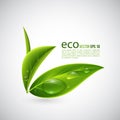 Realistic eco leaves.