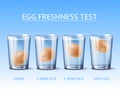 Realistic egg freshness test. Hen egg floating in glass with water, physical experience, fresh or bad product control