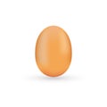 Realistic egg icon. world record egg icon. Royalty Free Stock Photo