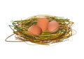 Realistic Eggs In Nest. Vector Illustration Isolated On White Background Icon