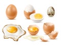 Realistic eggs. Raw and fried natural diet product, 3d chicken and quail egg, beige whole cracked shell, protein and Royalty Free Stock Photo