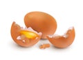 Realistic eggs yolk. Chicken brown eggshell. Eat uncooked white and yellow food. Cooking ingredient. Broken baby animal