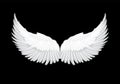 Vector realistic white angel wings