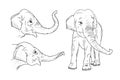 Realistic elephant set isolated on white background. Engraved Indian elephant for zoo designs. Vector illustration