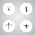 Realistic Emmet, Damselfly, Wasp And Other Vector Elements. Set Of Bug Realistic Symbols Also Includes Wasp, Insect